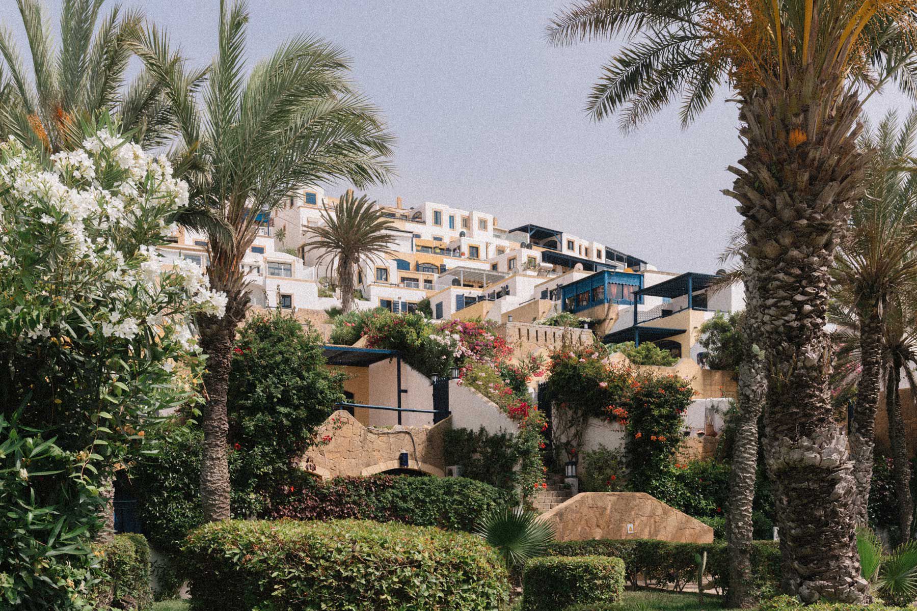 This Coastal Town in Morocco Is Home to Otherworldly Salt Flats, Unspoiled Beaches, and Beautiful Flamingos